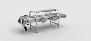Inspection Conveyor