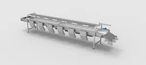 Inspection Conveyor