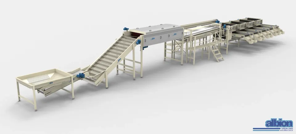 LCC 6000 6T — Onion Brushing and Sizing Line