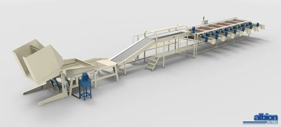 T 1200 CMZIV 7T — Garlic Sizing Line