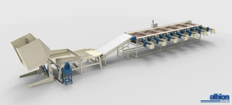 T 1200 CMZV 7T — Garlic Sizing Line