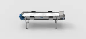 Inspection Conveyor
