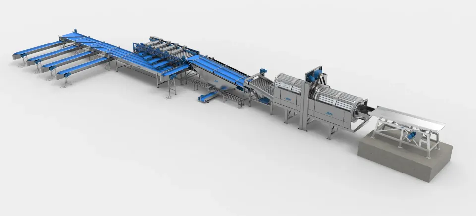 ZC 8000 — Carrot Washing, Sizing and Packing Line