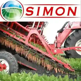 Simon